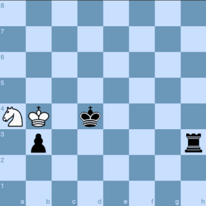 Rook and Pawn vs. Knight Dvoretsky's Endgame Manual