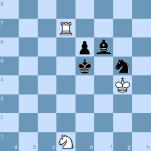 Chess Problem Solution