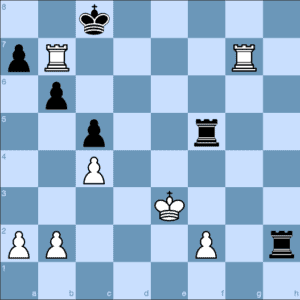 Polgar 1-0 Kasparov