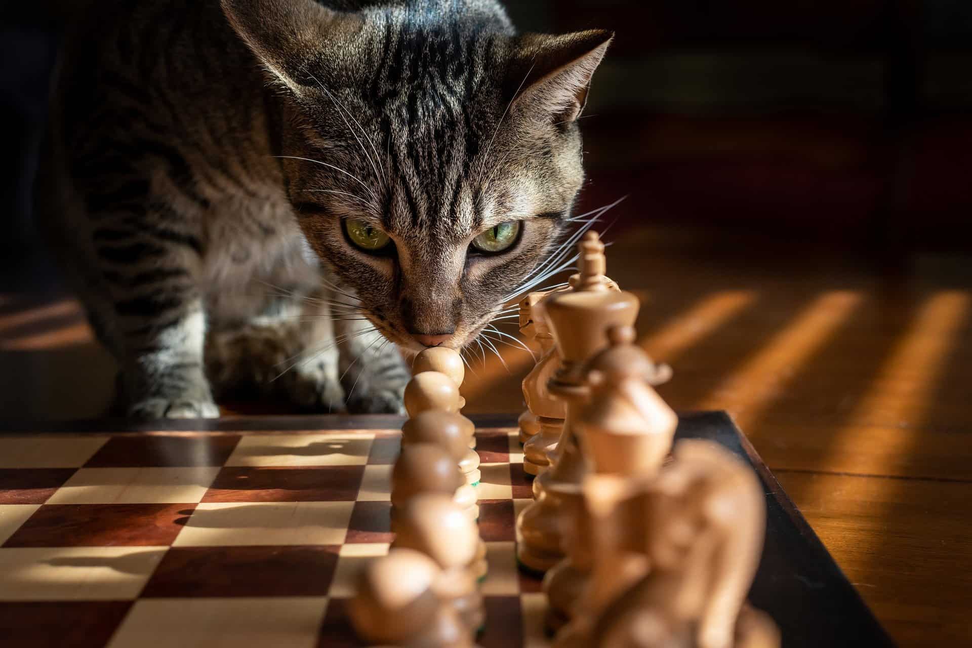 Who is the Best Chess Endgame Player of All Time? - Chessable Blog