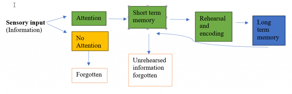 How Sensory Input translates to Memory