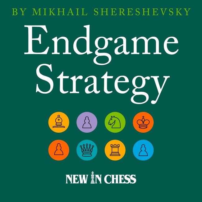 Image of Endgame Strategy (Revised and Expanded Edition)