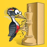 Image of The Woodpecker Method
