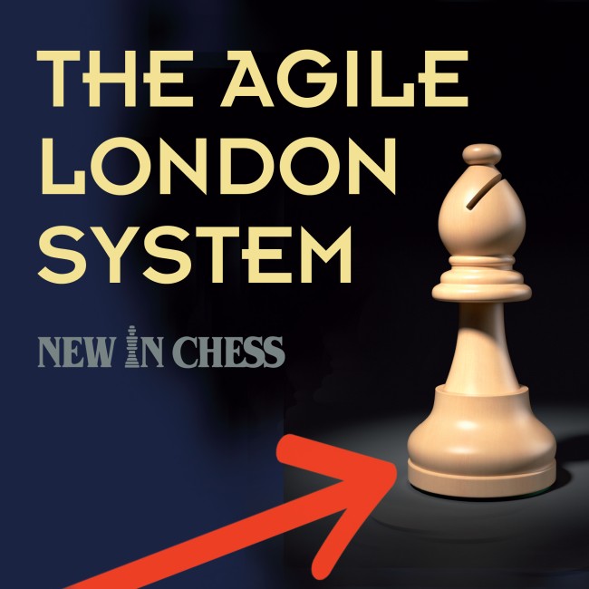 Image of The Agile London System