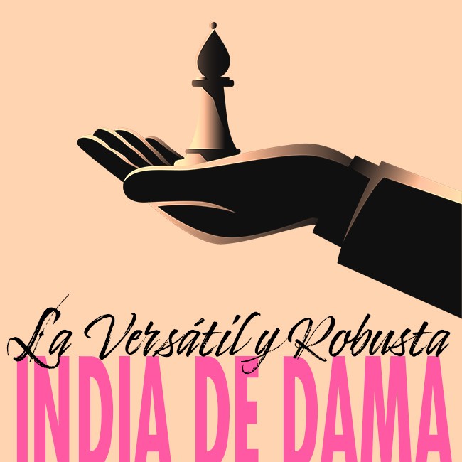 Image of La Versátil y Robusta India de Dama