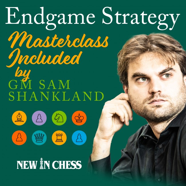 Endgame Strategy (Revised and Expanded Edition) + Masterclass