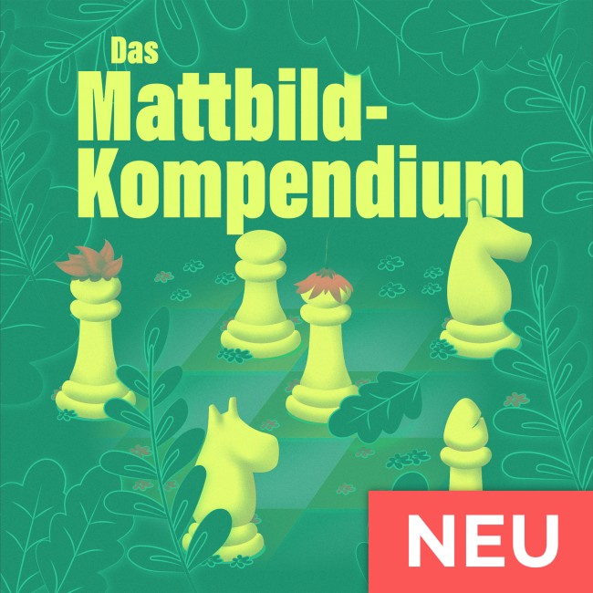 Image of Das Mattbild-Kompendium