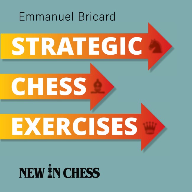 Image of Strategic Chess Exercises