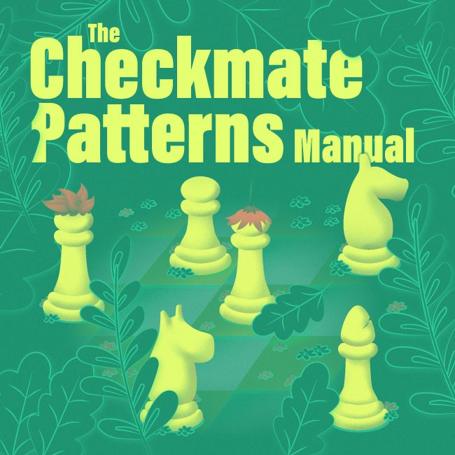 Image of The Checkmate Patterns Manual