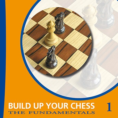 The Fundamentals 1: Build Up Your Chess