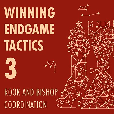 Winning Endgame Tactics 3 - Rook and Bishop Coordination