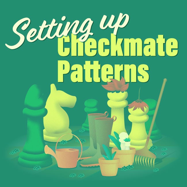 Setting Up Checkmate Patterns