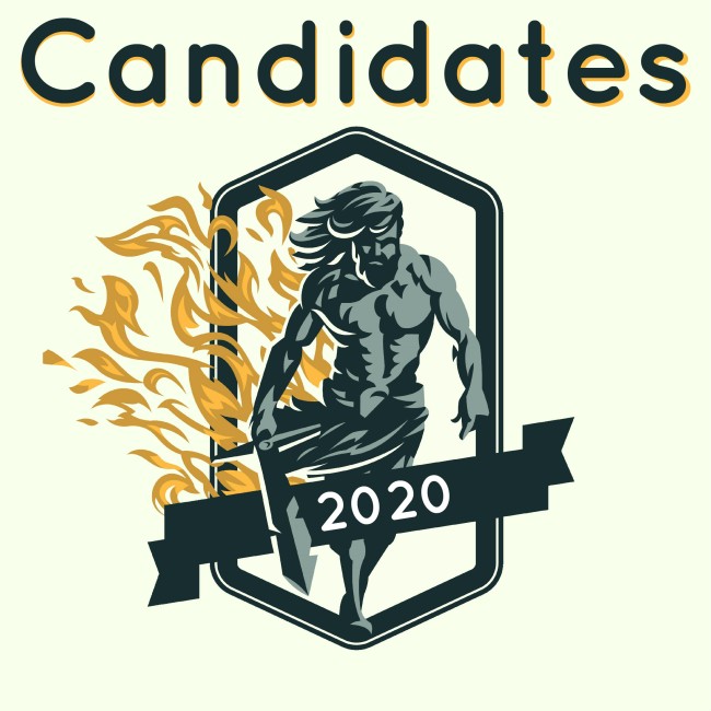 Chess Candidates 2020