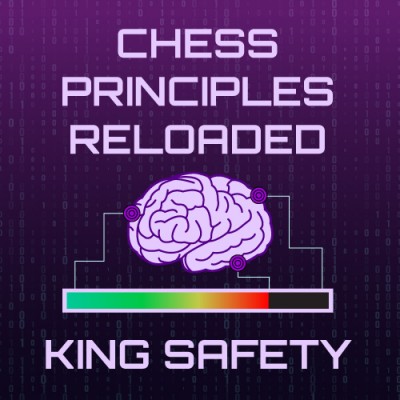 Image of Chess Principles Reloaded - King Safety