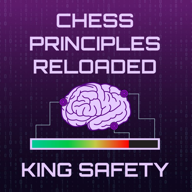 Image of Chess Principles Reloaded - King Safety