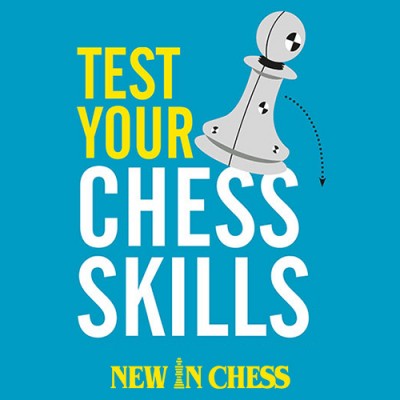 Image of Test Your Chess Skills