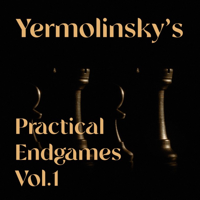 Image of Yermolinsky's Practical Endgames - Volume 1