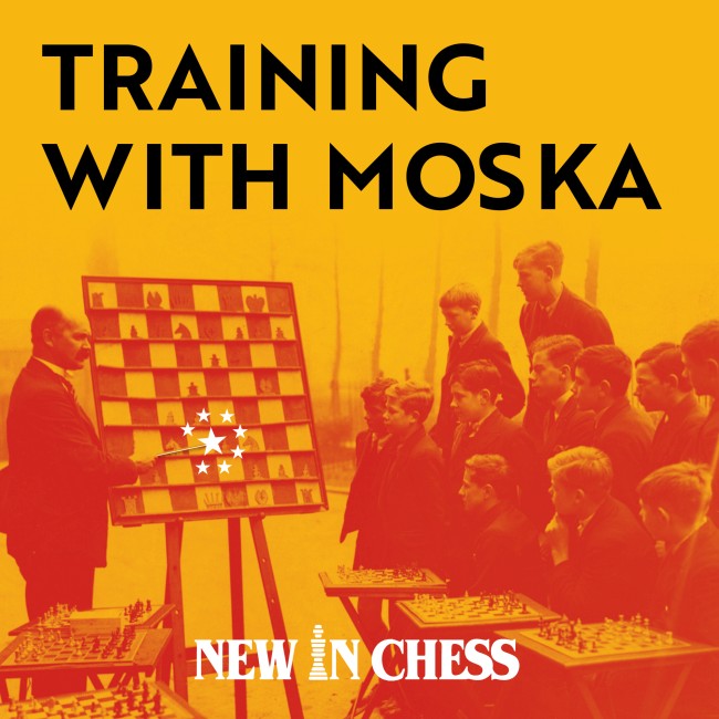 Image of Training With Moska