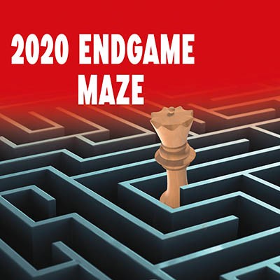Image of 2020 Endgame Maze