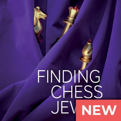 Image of Finding Chess Jewels