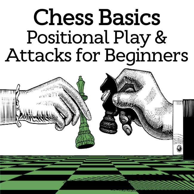 Image of Chess Basics: Positional Play and Attacks for Beginners