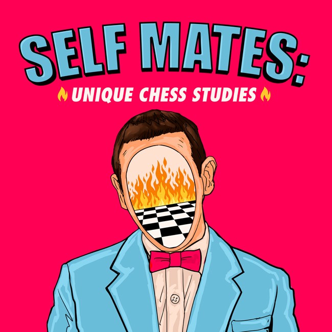 Self Mates: Unique Chess Studies